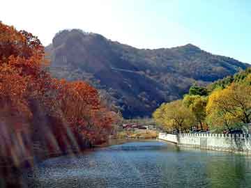 正版澳门天天开彩大全，黑帽seo自学